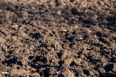 Toprağı sürmüş, yakın plan.