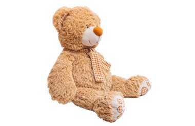 yumuşak oyuncak ayı beyaz arka planda izole