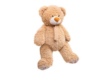 yumuşak oyuncak ayı beyaz arka planda izole