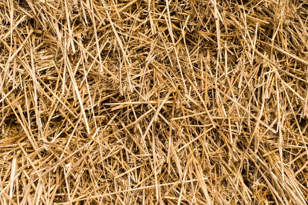 Dry straw macro shot — Stock Photo, Image