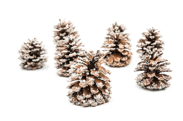Christmas cones — Stock Photo, Image