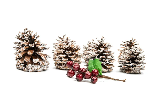 Cones de Natal — Fotografia de Stock