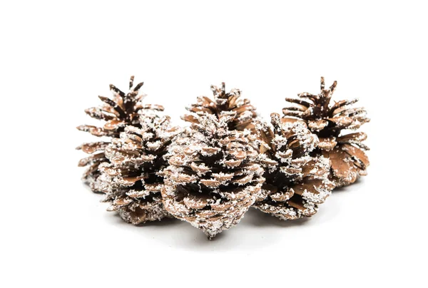 Cones de Natal — Fotografia de Stock