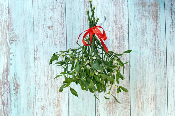 Kırmızı kurdeleli bir ökseotu buketinin yakın plan fotoğrafı.