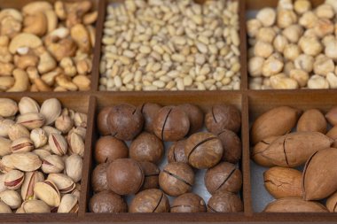 Karışık fındık arkaplan: çam fıstığı, fıstık, fıstık, kaju, badem, fındık, fıstık, fındık, fındık, kabak çekirdeği