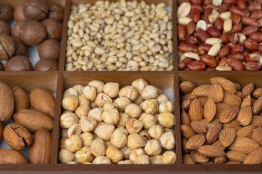 Karışık fındık arkaplan: çam fıstığı, fıstık, fıstık, kaju, badem, fındık, fıstık, fındık, fındık, kabak çekirdeği