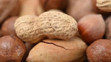 Kabuklarında karışık fındıkların yakın çekim videosu.