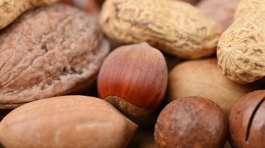 Kabuklarında karışık fındıkların yakın çekim videosu.