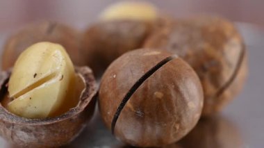 Kabuğunda bir macadamia cevizinin yakın çekim videosu.