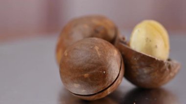 Kabuğunda bir macadamia cevizinin yakın çekim videosu.