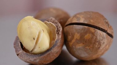 Kabuğunda bir macadamia cevizinin yakın çekim videosu.