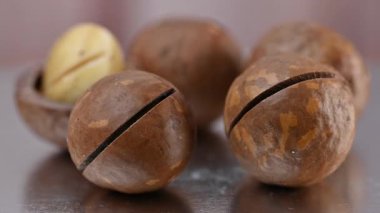Kabuğunda bir macadamia cevizinin yakın çekim videosu.