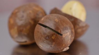 Kabuğunda bir macadamia cevizinin yakın çekim videosu.