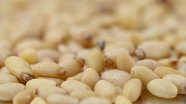 Soyulmuş çam fıstıklarının yakın çekim videosu.