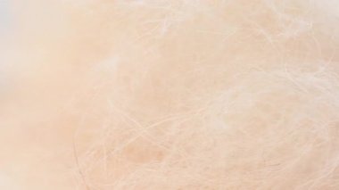 Hayvan kılı arkaplanının yakın çekim videosu