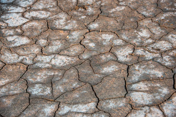 Pozadí suché popraskané půdy — Stock fotografie