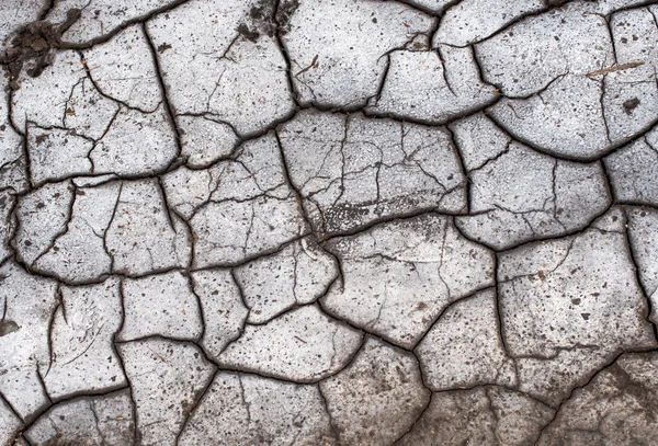 Pozadí suché popraskané půdy — Stock fotografie