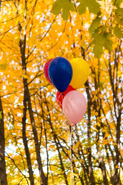 Ballonnen op de achtergrond van de herfst bladeren — Stockfoto