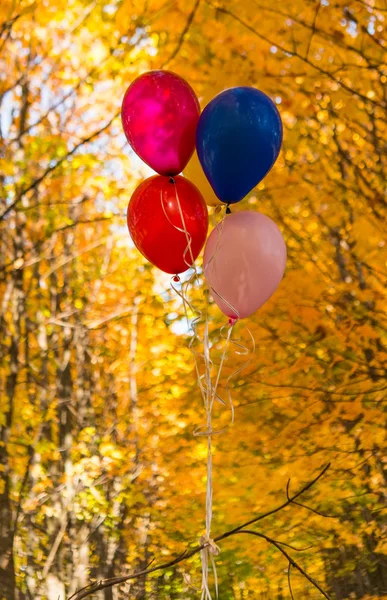 Ballonnen op de achtergrond van de herfst bladeren — Stockfoto