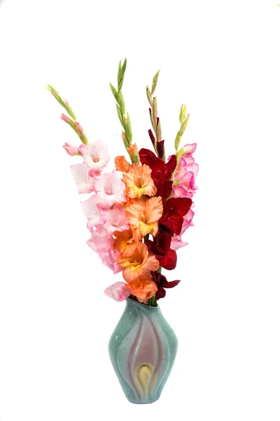 Bouquet of gladiolus Stock Image