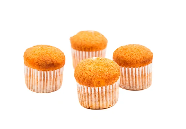 Small muffins dessert — Stock Photo, Image