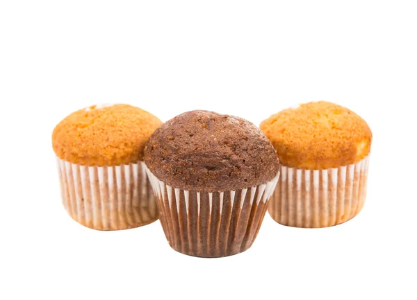 Malé muffiny dort — Stock fotografie
