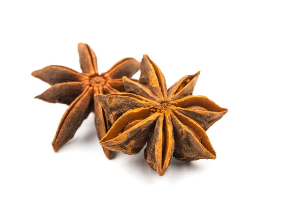 Yıldız anason badian — Stok fotoğraf