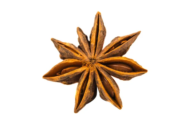 Star anise badian — Stock Photo, Image