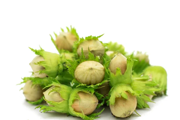 Green hazel nuts — Stock Photo, Image