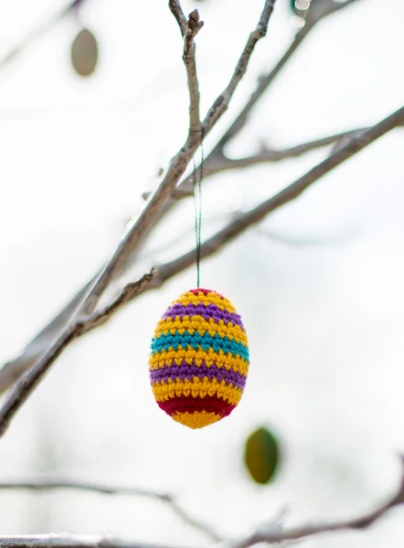 Huevo de Pascua en la rama de un árbol — Foto de Stock
