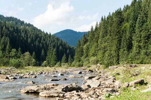 Sommar bergslandskap. — Stockfoto