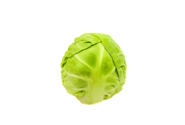 Vers Brussel sprout geïsoleerd — Stockfoto