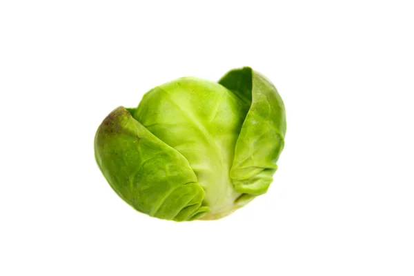 Vers Brussel sprout geïsoleerd — Stockfoto