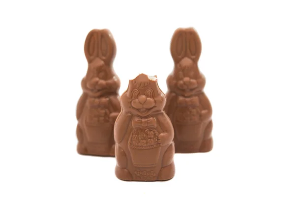 Conejo de Pascua de chocolate — Foto de Stock