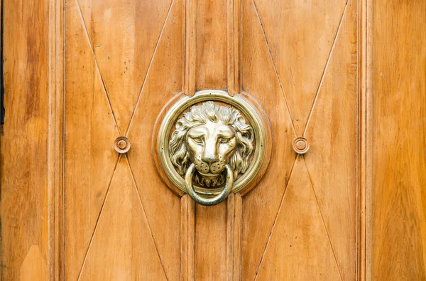 Puerta de madera vieja decorada con una cabeza de león como un golpeador — Foto de Stock