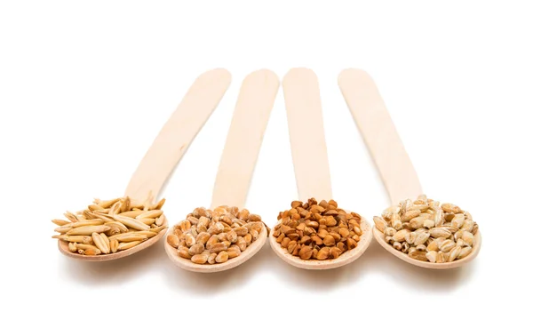 Barley, wheat, buckwheat, oat groats in a wooden spoon isolated — Stock Photo, Image