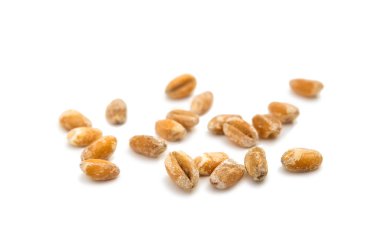 Buğday tahıl yiyecek