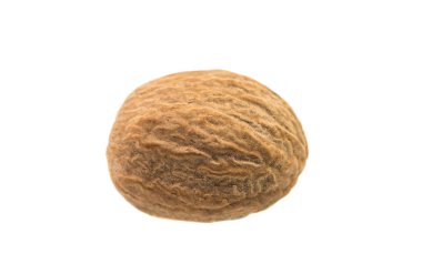 Küçük Hindistan cevizi baharat kokusu