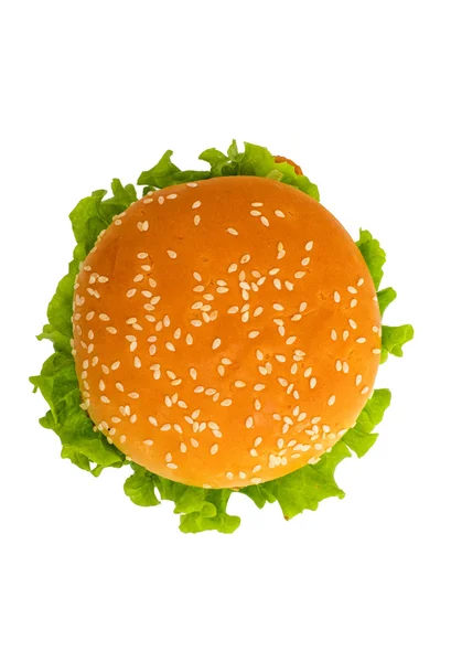 Big chicken hamburger — Stock Photo, Image