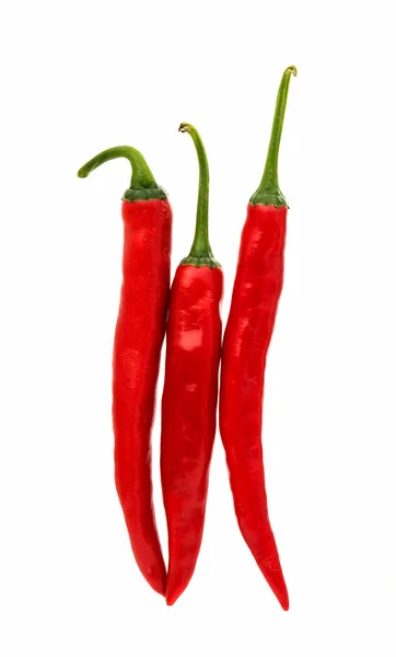 Chili isolated hot — Stock Photo, Image