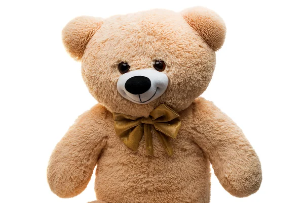 Big Bear soft toy isolated — Stock Photo, Image