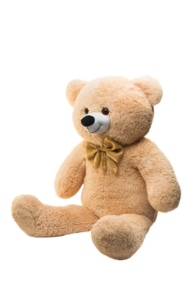 Urso grande brinquedo macio isolado — Fotografia de Stock