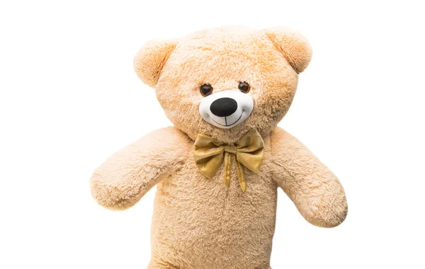 Большая медведица мягкая игрушка изолирована — стоковое фото