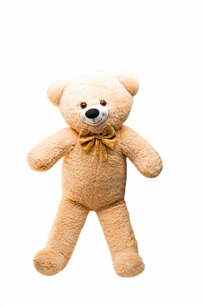 큰 곰 부드러운 장난감 절연 — 스톡 사진