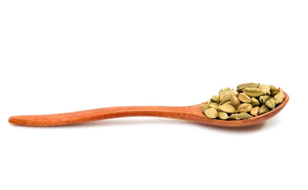 Vainas de cardamomo aroma — Foto de Stock