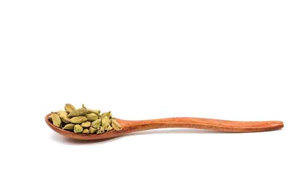 Vainas de cardamomo aroma — Foto de Stock