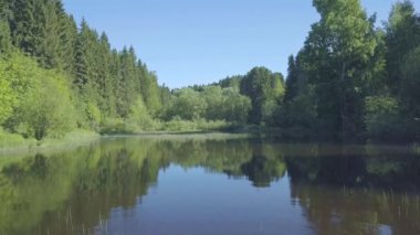 Ormanda küçük bir nehirde uçuş