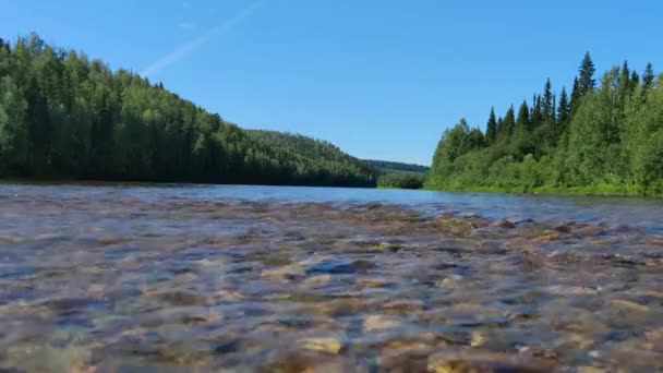 Ruisseau Eau Transparente Dans Rivière Vishera — Video