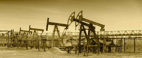 Bombas de óleo em um campo de petróleo . — Fotografia de Stock