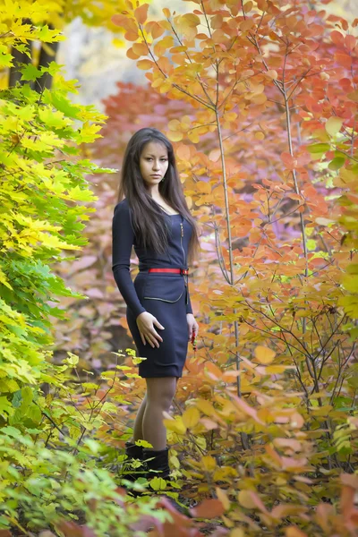 A menina bonita casual na floresta de outono — Fotografia de Stock